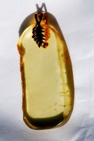 Amber