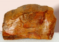 Agate, Tempshy Fern