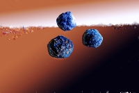 Azurite Nodules