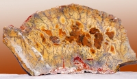 Moss Opaline