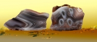 Agate, Botswani (Africa)
