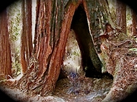 Door to the Land of Noso